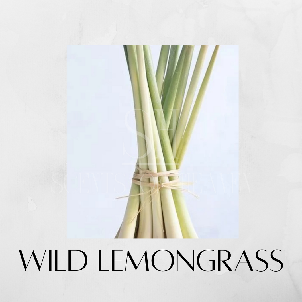 Wild Lemongrass Scented Candles