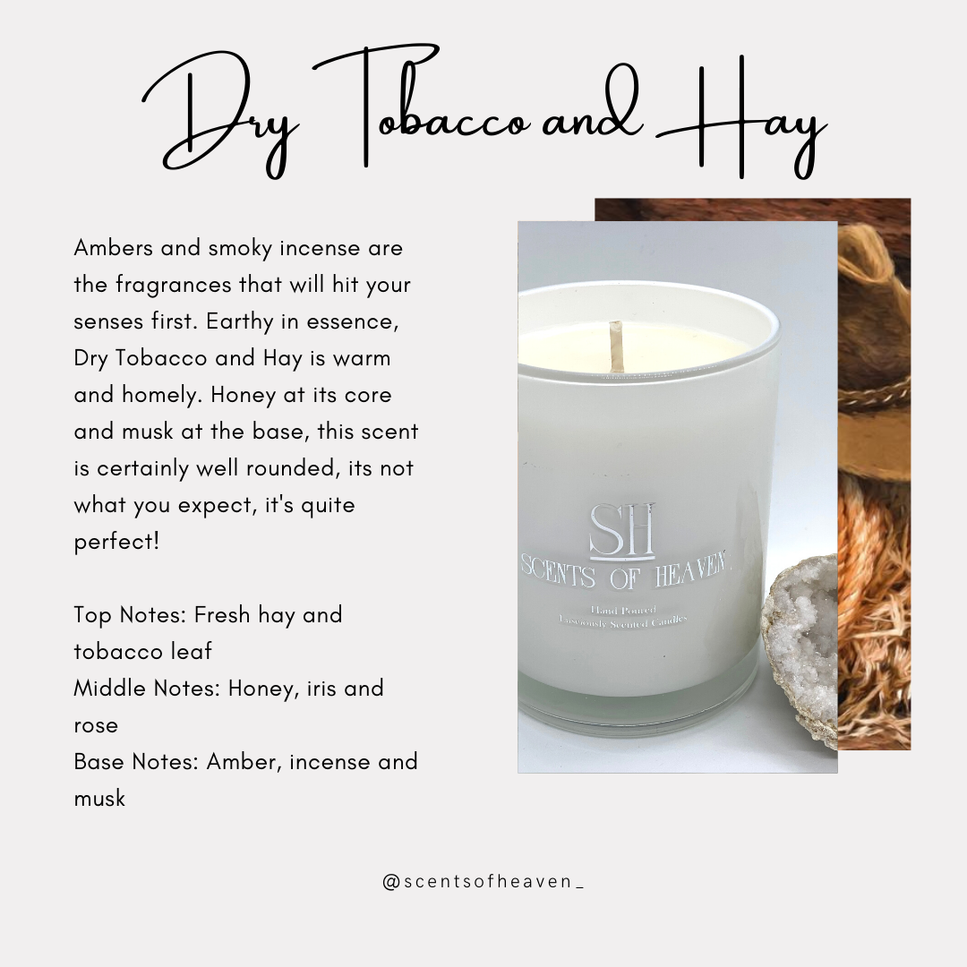Dry Tobacco & Hay Scented Candles | Scents of Heaven