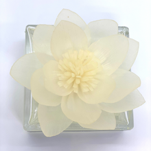 Load image into Gallery viewer, Water Lily Sola Flower Fragrance Diffuser