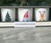 Load image into Gallery viewer, Christmas Gift Set - Natural and Earthy
