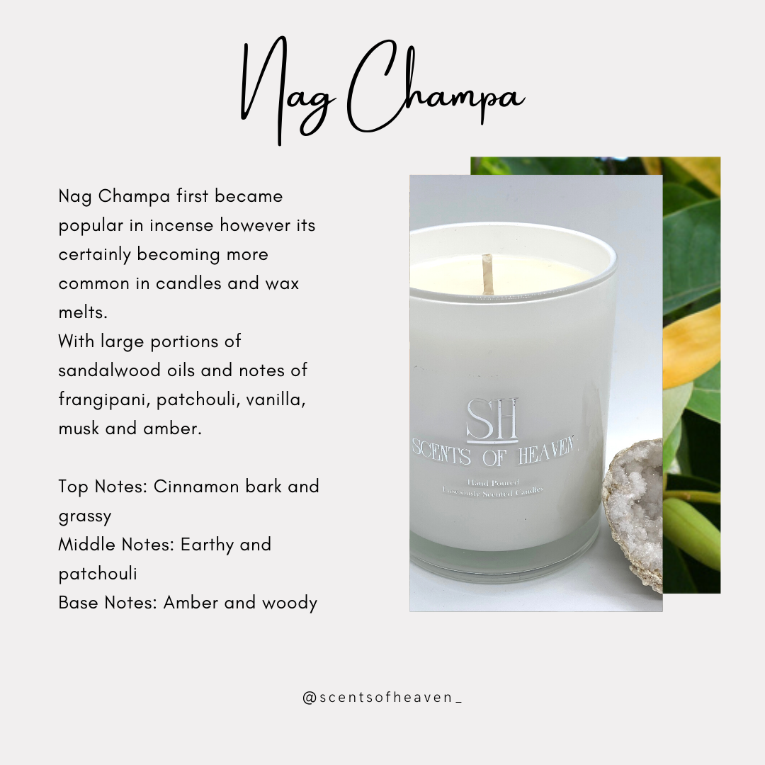 Nag Champa Scented Soy Candle | Indian Incense Fragrance | Full Circle  Candles
