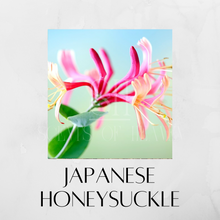 Load image into Gallery viewer, Japanese Honeysuckle Scented Candles
