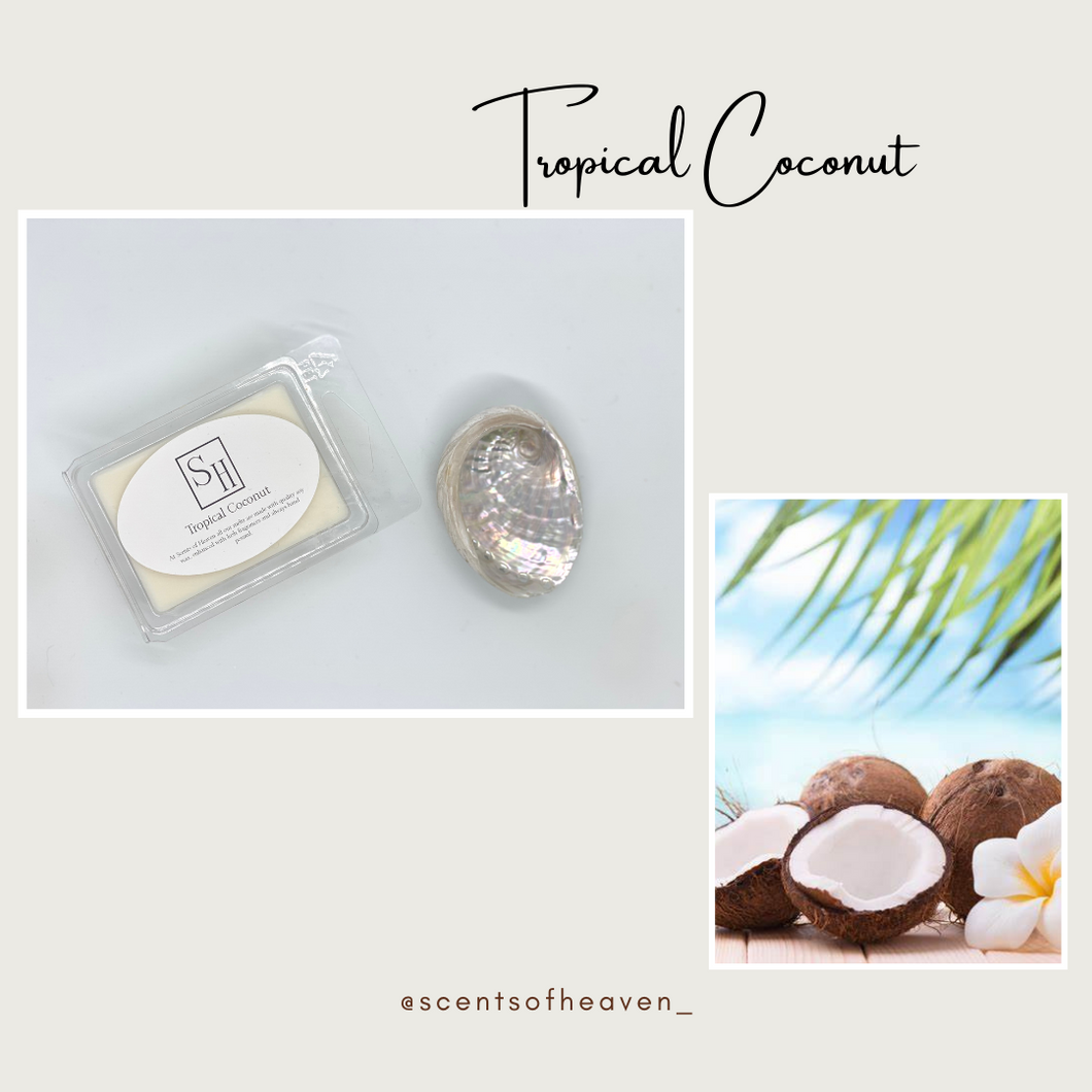 Tropical Coconut Soy Wax Melt