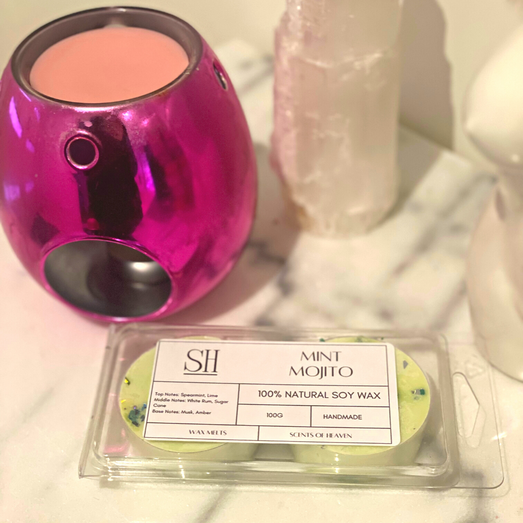 Mint Mojito - Double Disc Wax Melts