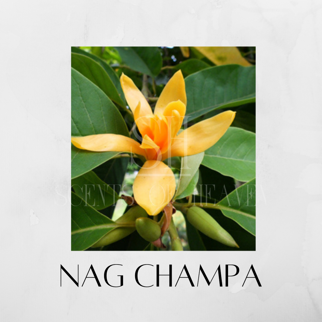 Nag Champa Scented Candles