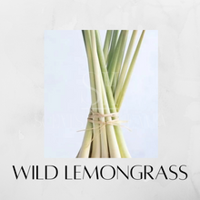 Load image into Gallery viewer, Wild Lemongrass Scented Candles
