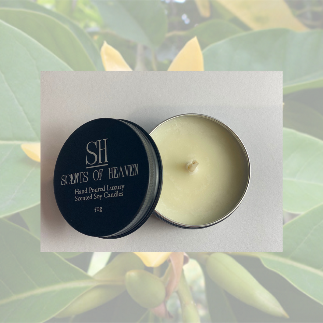 Nag Champa Soy Wax Mini Pots