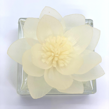 Load image into Gallery viewer, Water Lily Sola Flower Fragrance Diffuser
