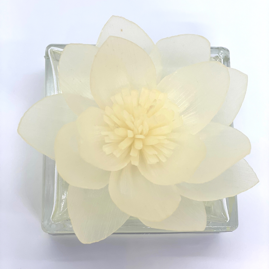 Sola Flower Fragrance Diffuser | Fragrance without the Flame | Scents ...