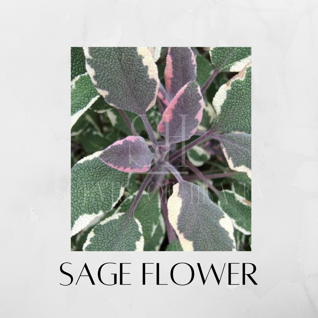 Sage Flower Scented Candles