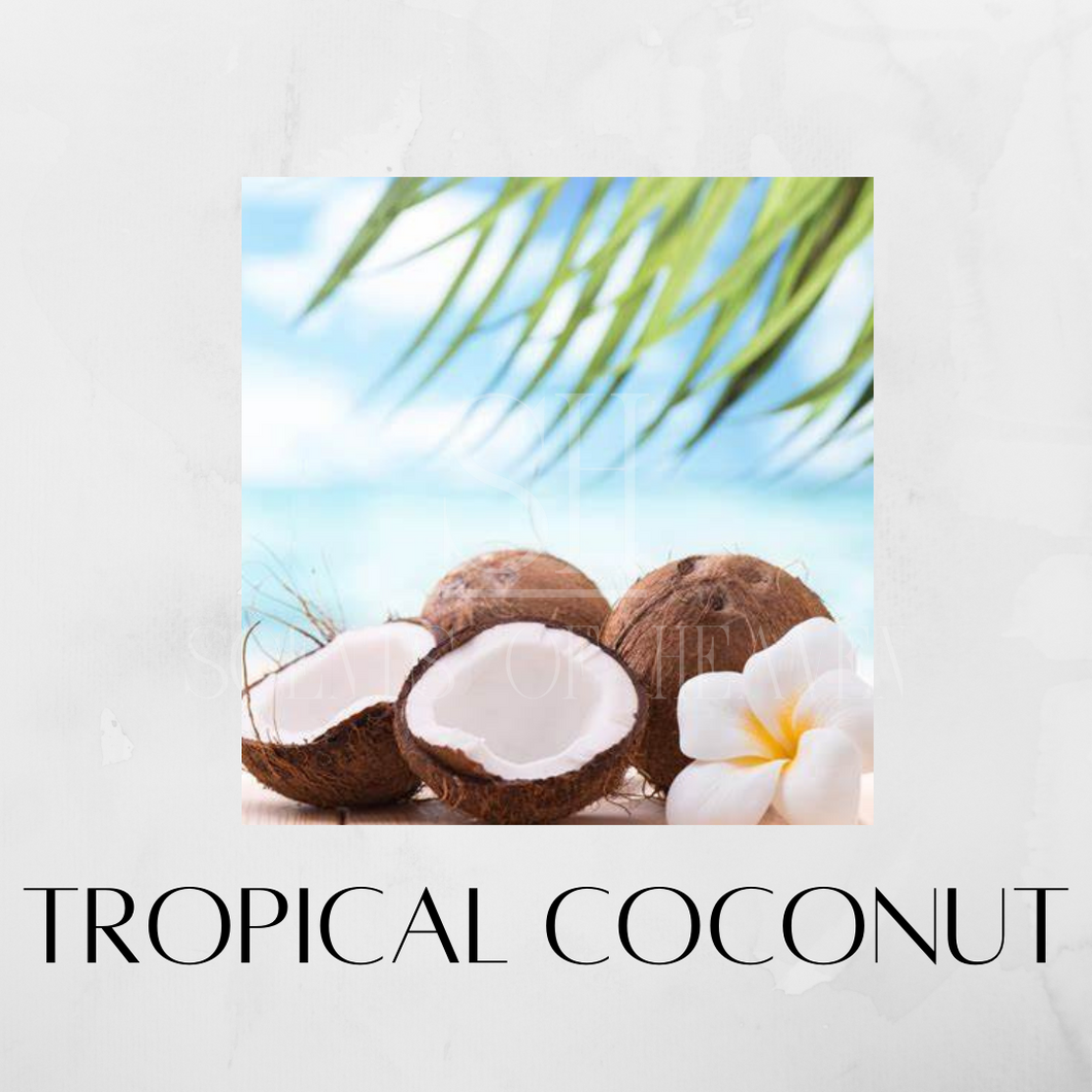 Tropical Coconut Scented Candles