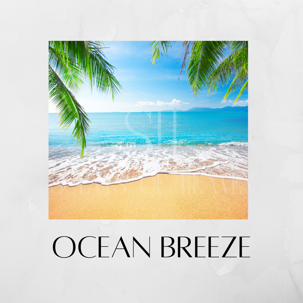 Ocean Breeze Scented Candles