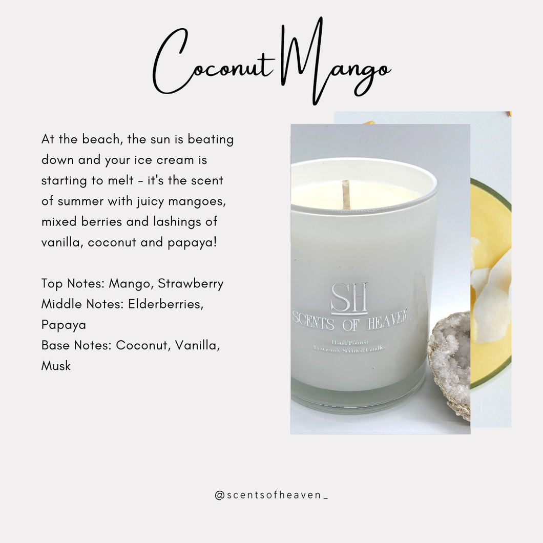 Coconut Mango Scented Candles